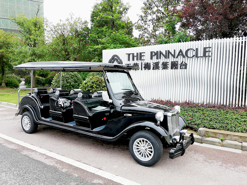 梅溪湖樓盤看房老爺車